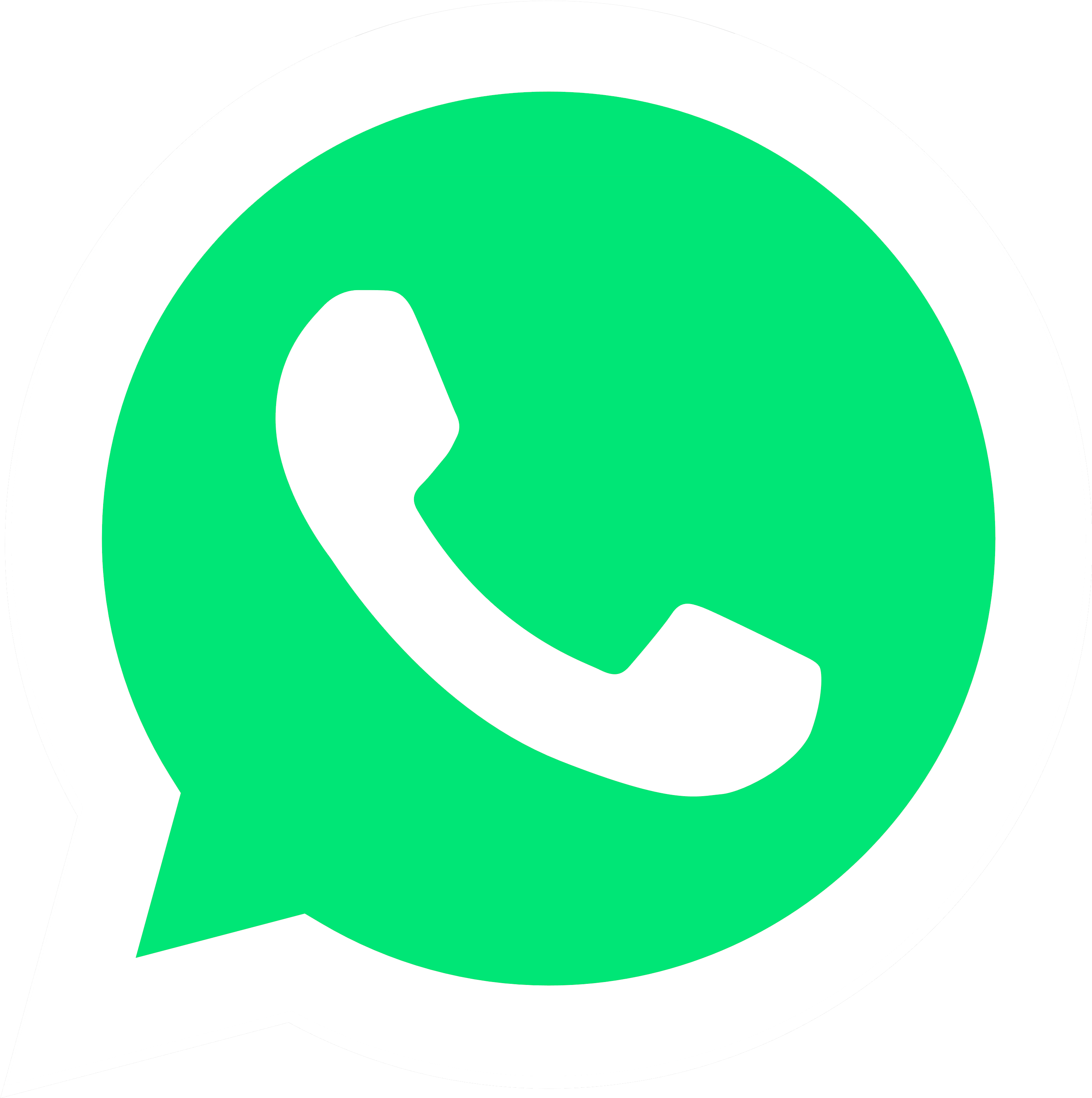 Detail Whatsapp Logo Transparent Background Nomer 14