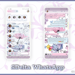 Detail Whatsapp Pink Theme Nomer 42