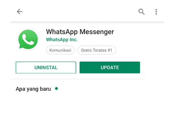 Fake detail whatsapp