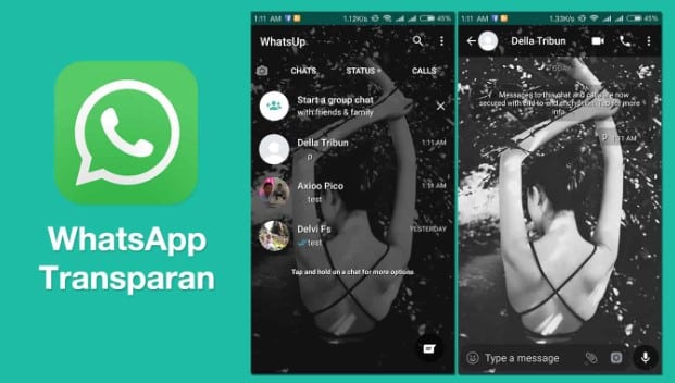 Detail Whatsapp Transparan 2016 Nomer 29