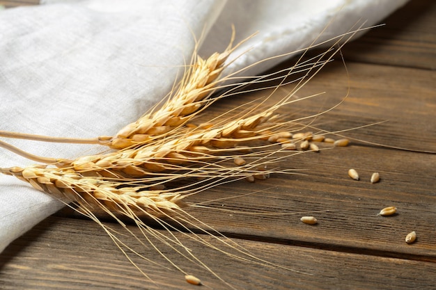 Detail Wheat Background Nomer 46