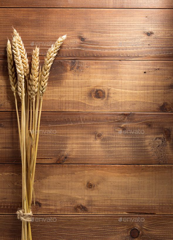 Detail Wheat Background Nomer 48