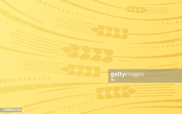 Detail Wheat Background Nomer 57