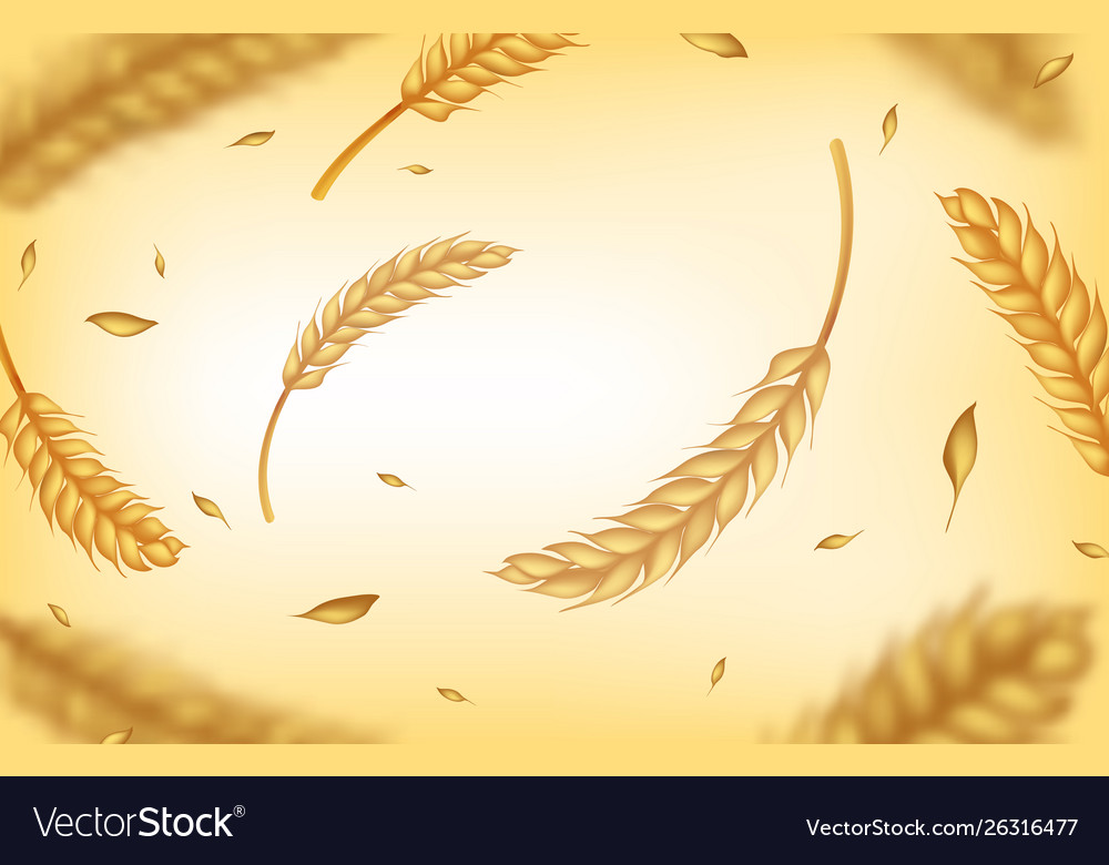 Detail Wheat Background Image Nomer 17