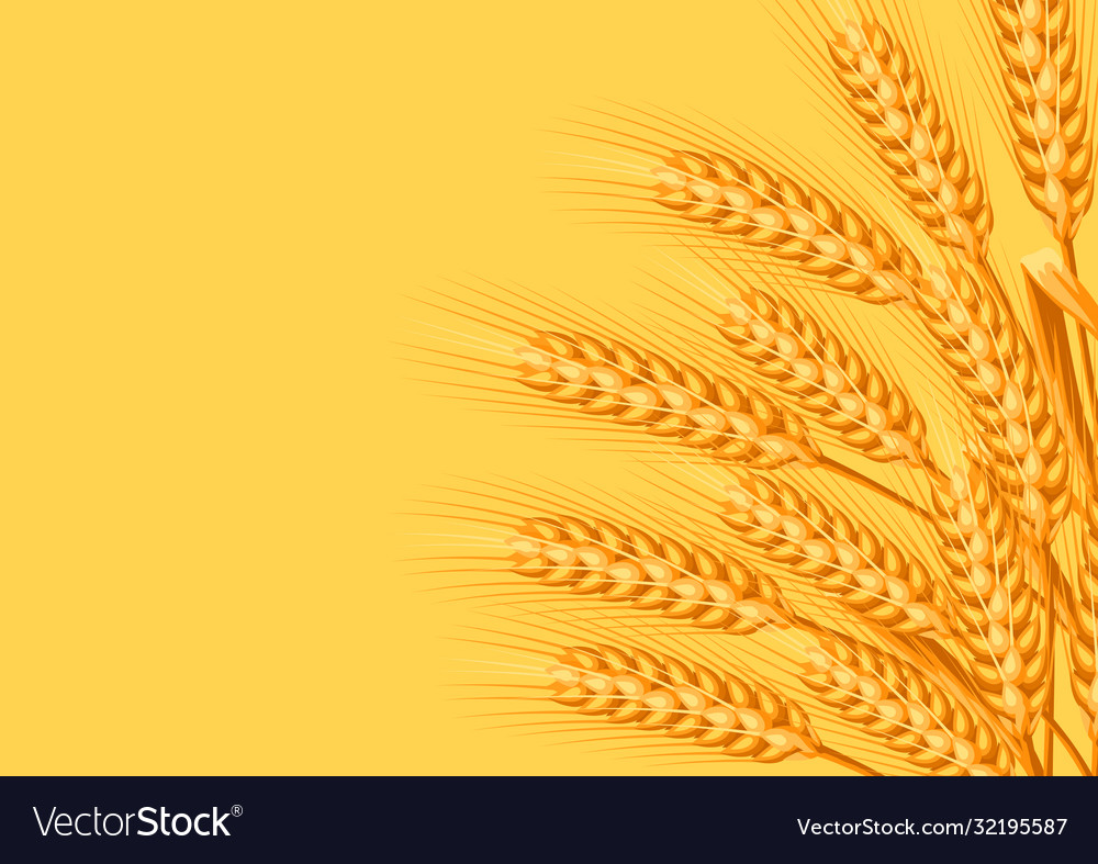 Detail Wheat Background Image Nomer 4