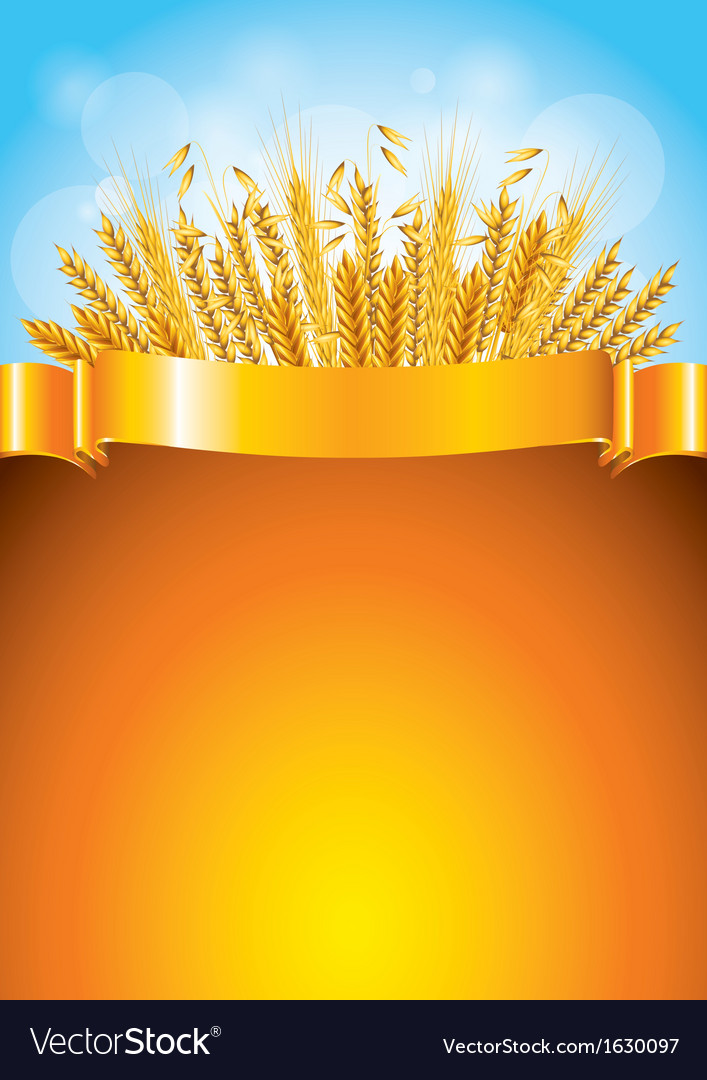 Detail Wheat Background Image Nomer 37