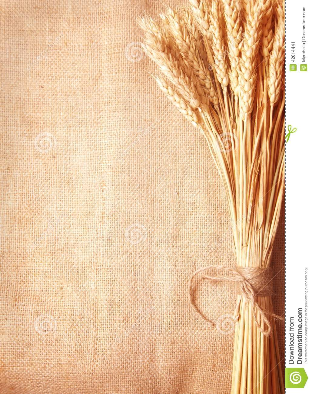 Detail Wheat Background Image Nomer 48
