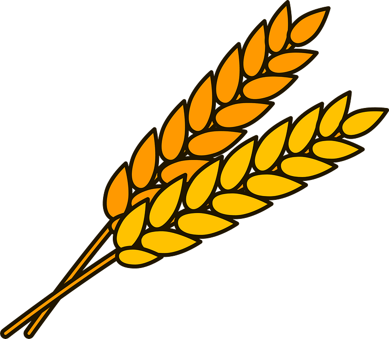 Detail Wheat Clipart Nomer 2