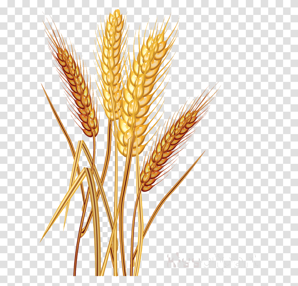 Detail Wheat Clipart Nomer 17