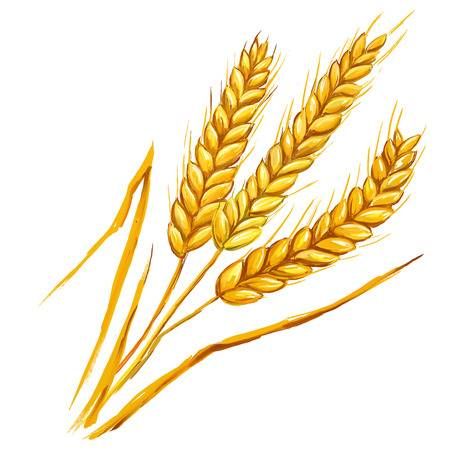 Detail Wheat Clipart Nomer 21