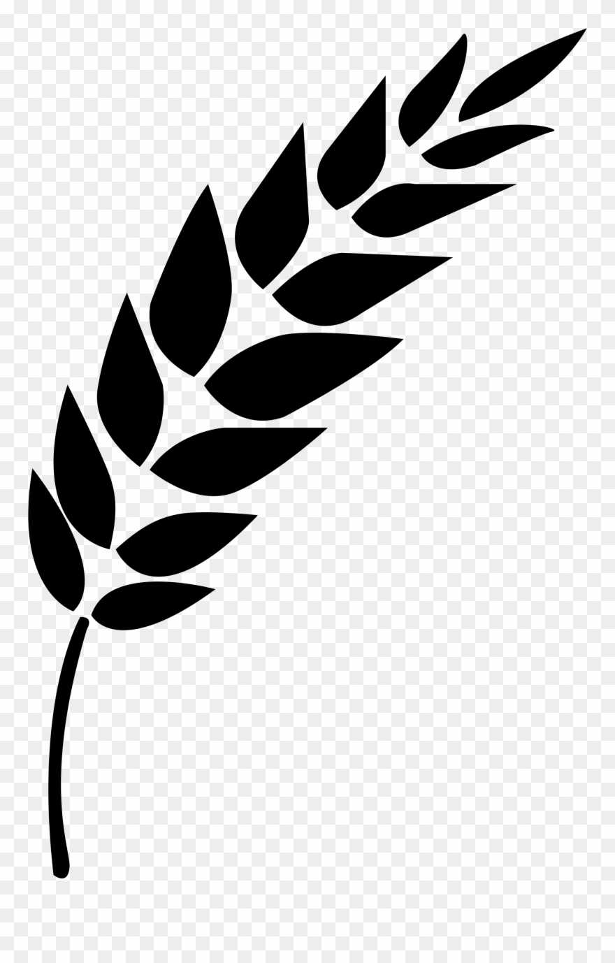 Detail Wheat Clipart Nomer 27