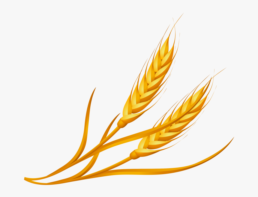 Detail Wheat Clipart Nomer 28