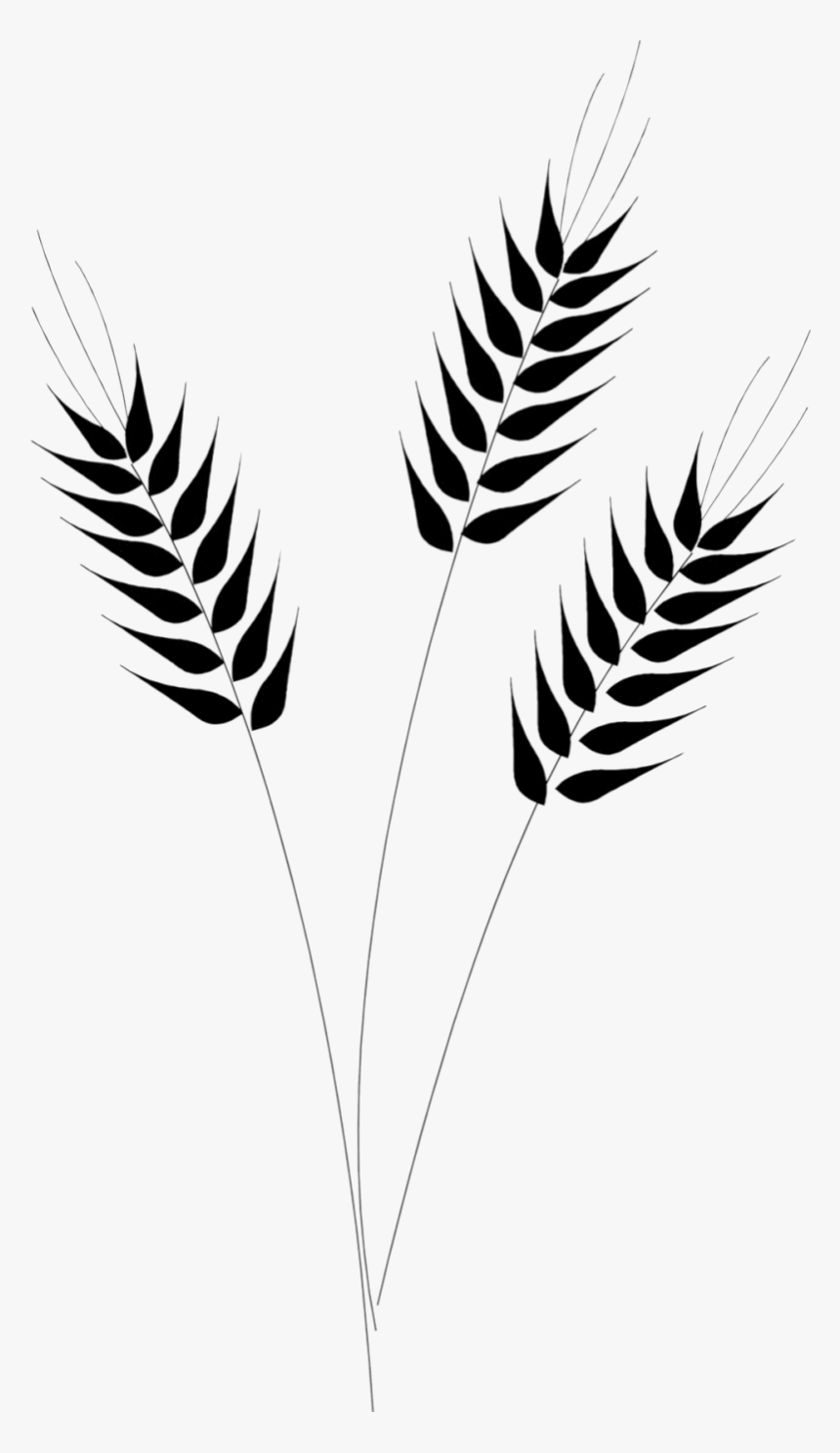 Detail Wheat Clipart Nomer 30