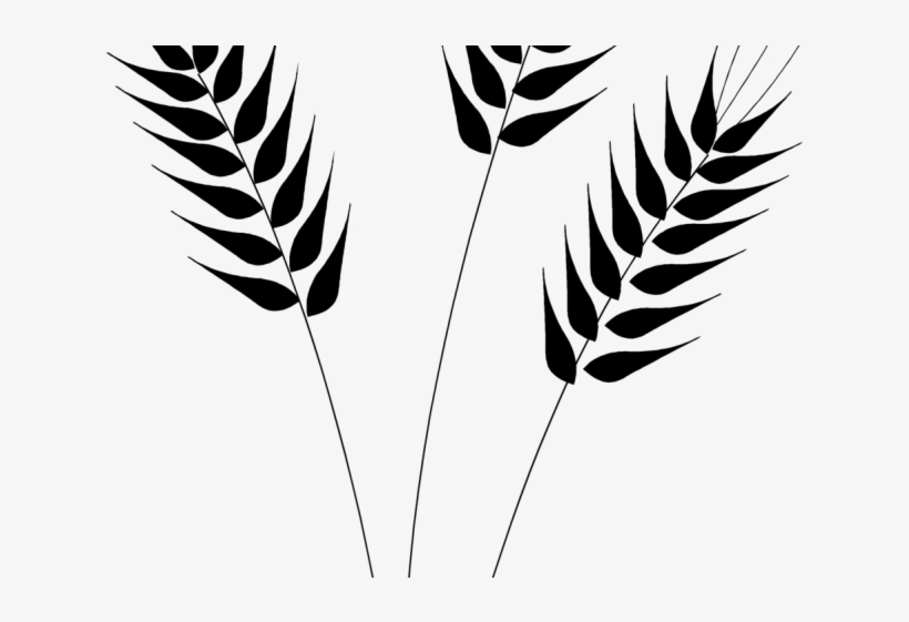 Detail Wheat Clipart Nomer 33