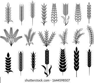 Detail Wheat Clipart Nomer 34