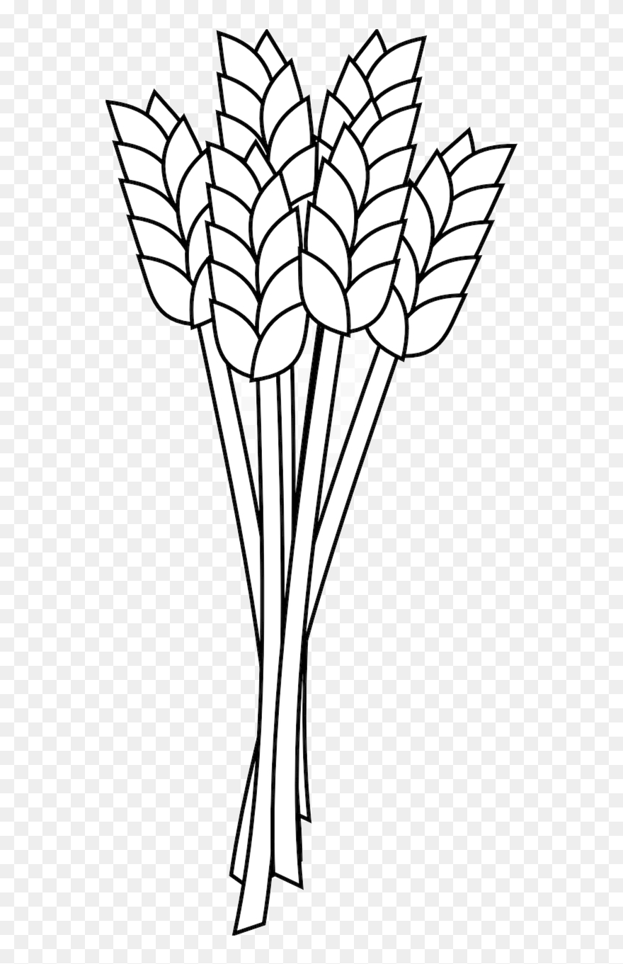 Detail Wheat Clipart Nomer 44