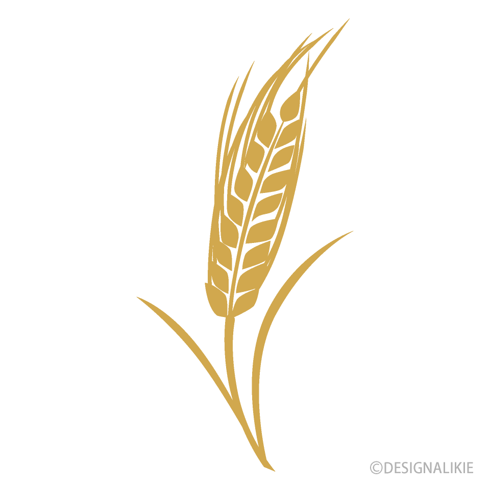 Detail Wheat Clipart Nomer 50