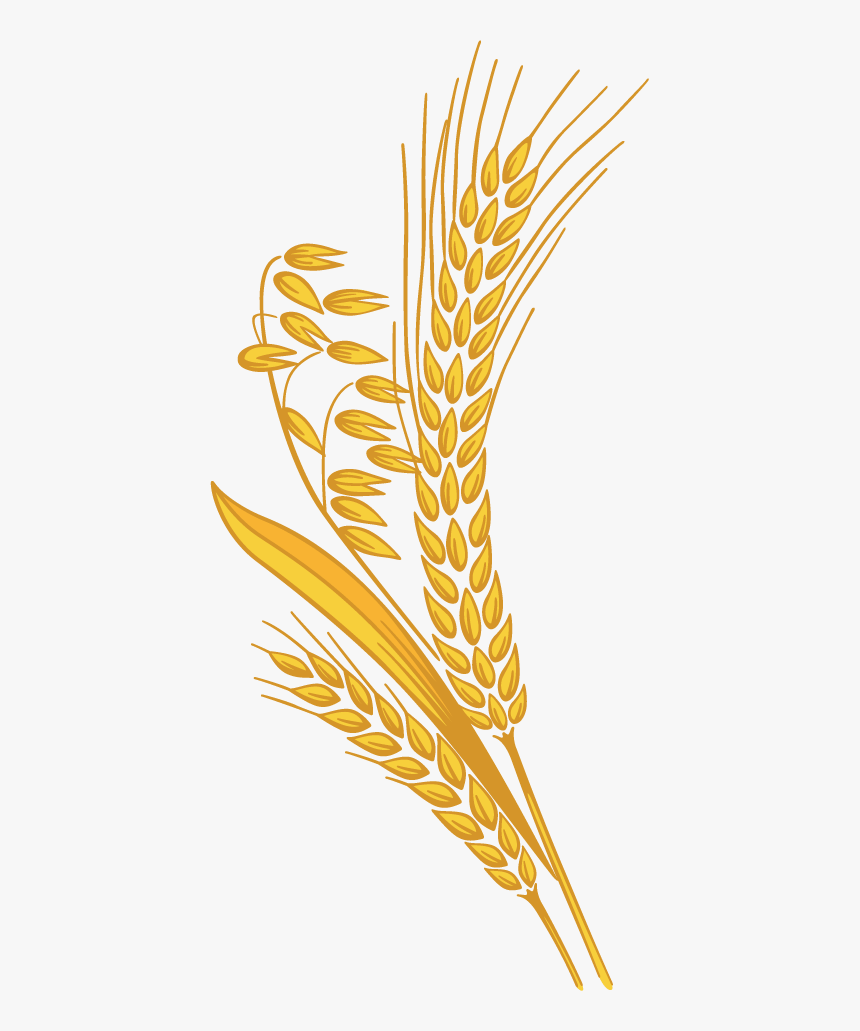Detail Wheat Clipart Nomer 8