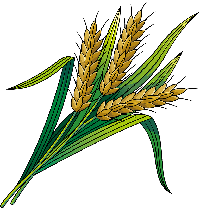 Detail Wheat Clipart Free Nomer 2