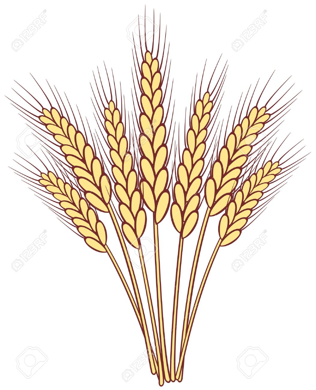 Detail Wheat Clipart Free Nomer 11