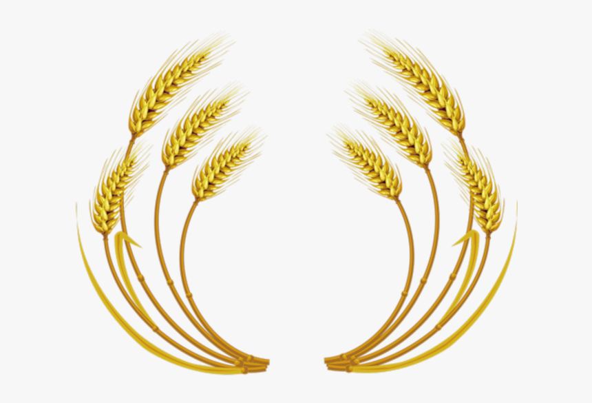 Detail Wheat Clipart Free Nomer 16