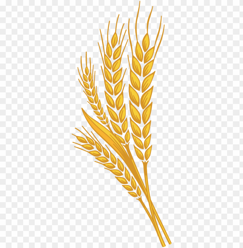 Detail Wheat Clipart Free Nomer 4