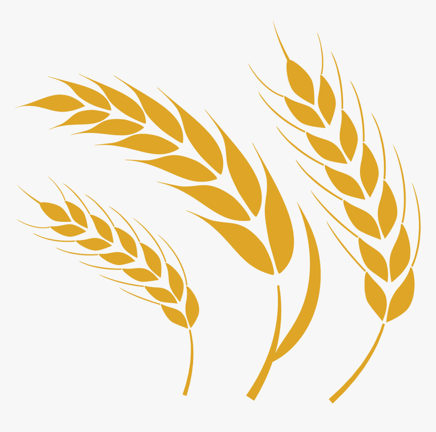 Detail Wheat Clipart Free Nomer 38