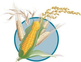 Detail Wheat Clipart Free Nomer 39