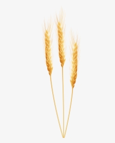 Detail Wheat Clipart Transparent Background Nomer 48