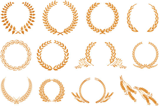Detail Wheat Crown Vector Png Nomer 4