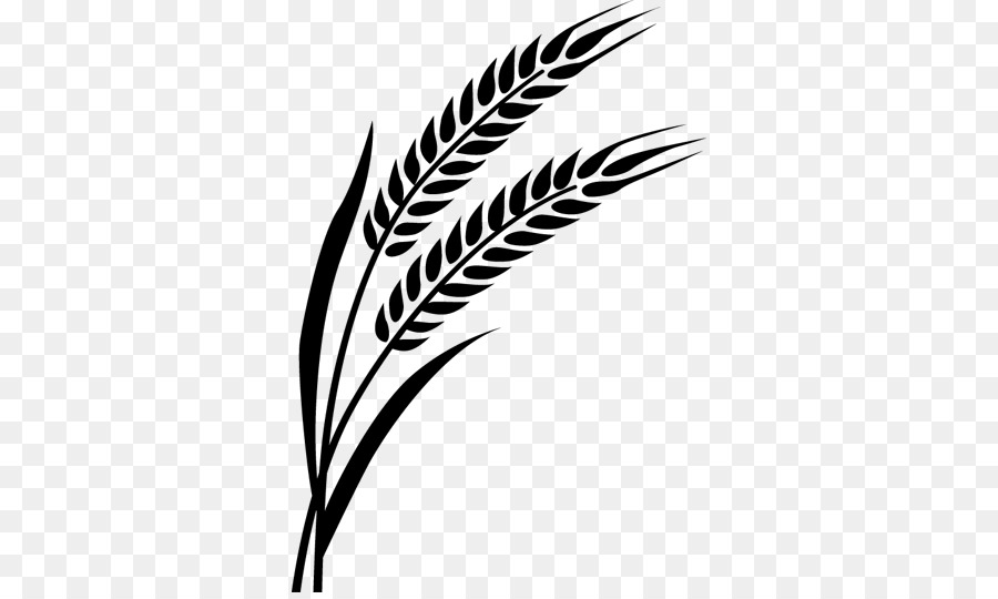 Detail Wheat Drawings Clip Art Nomer 19