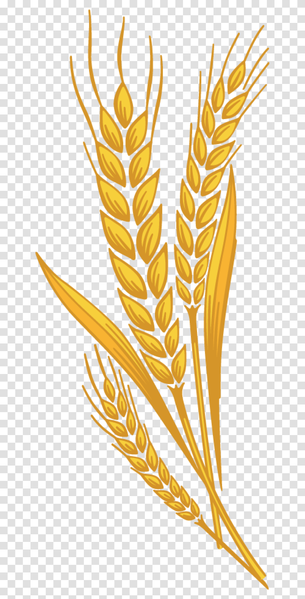 Detail Wheat Drawings Clip Art Nomer 6