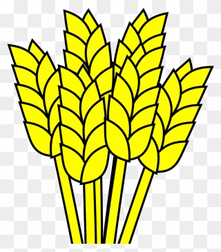 Detail Wheat Drawings Clip Art Nomer 50