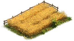 Detail Wheat Field Png Nomer 23