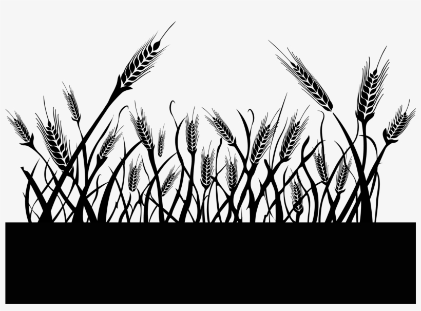 Detail Wheat Field Png Nomer 56