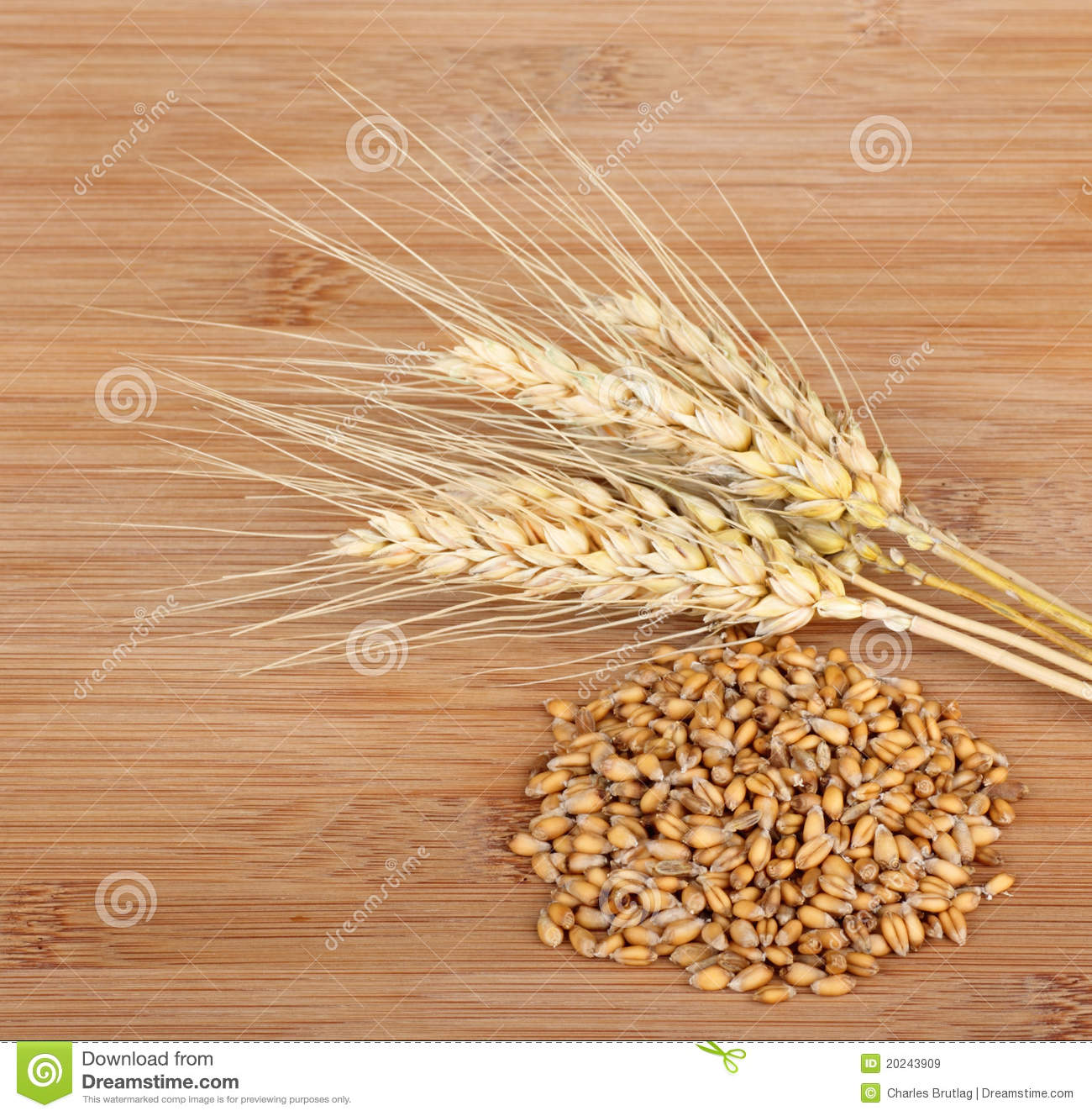 Detail Wheat Grains Images Nomer 11