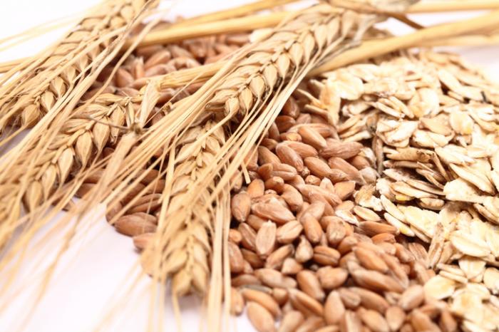 Detail Wheat Grains Images Nomer 46