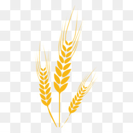 Detail Wheat Logo Png Nomer 13