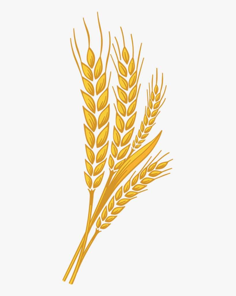 Detail Wheat Logo Png Nomer 15