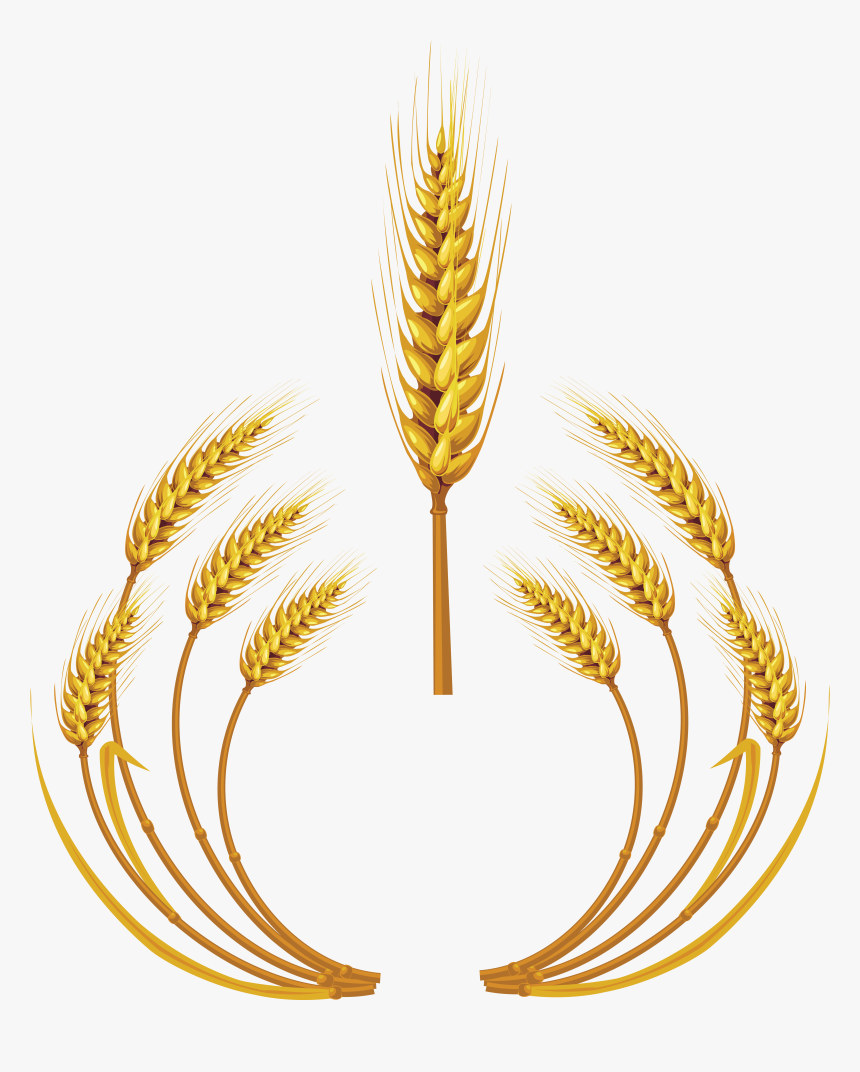 Detail Wheat Logo Png Nomer 17