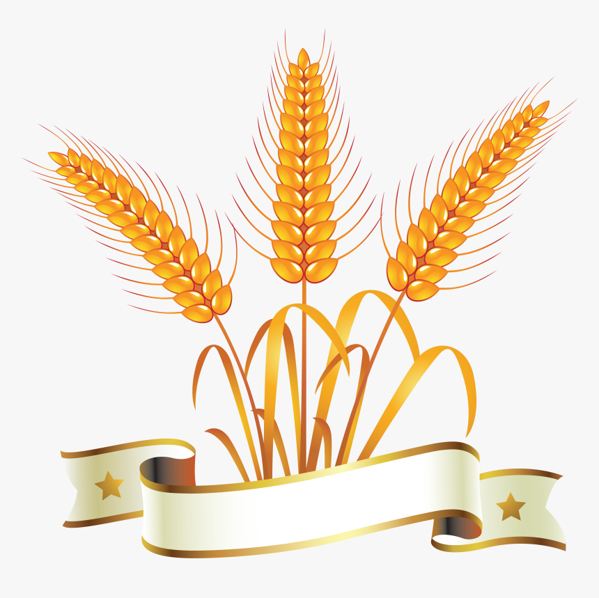 Detail Wheat Logo Png Nomer 48