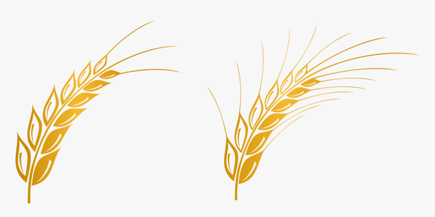 Detail Wheat Logo Png Nomer 8