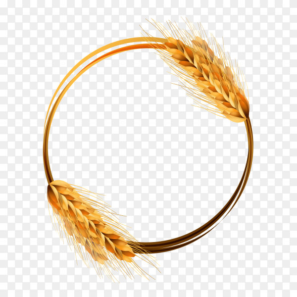 Detail Wheat No Background Nomer 50