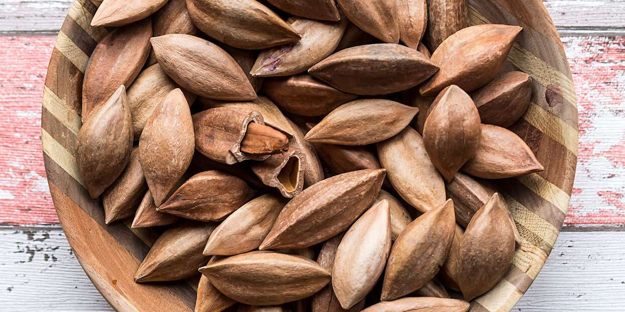 Detail Wheat Nuts Anacon Nomer 33