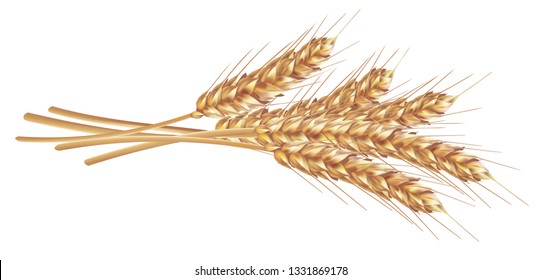 Detail Wheat Pictures Clip Art Nomer 33