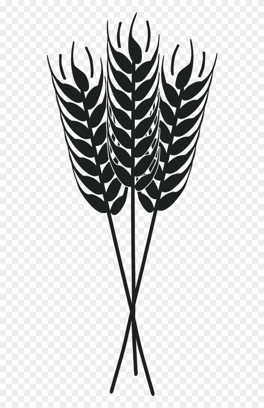 Detail Wheat Pictures Clip Art Nomer 47