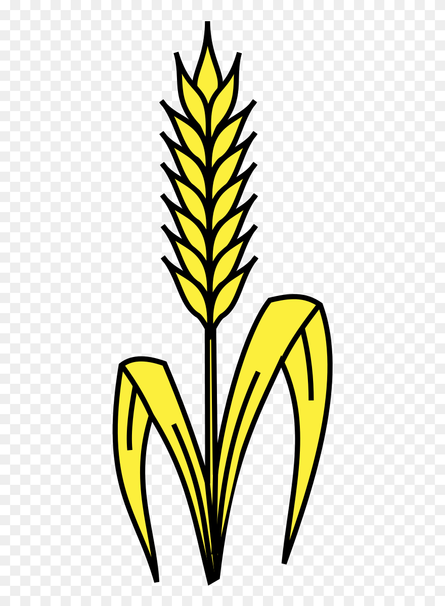 Detail Wheat Pictures Clip Art Nomer 50