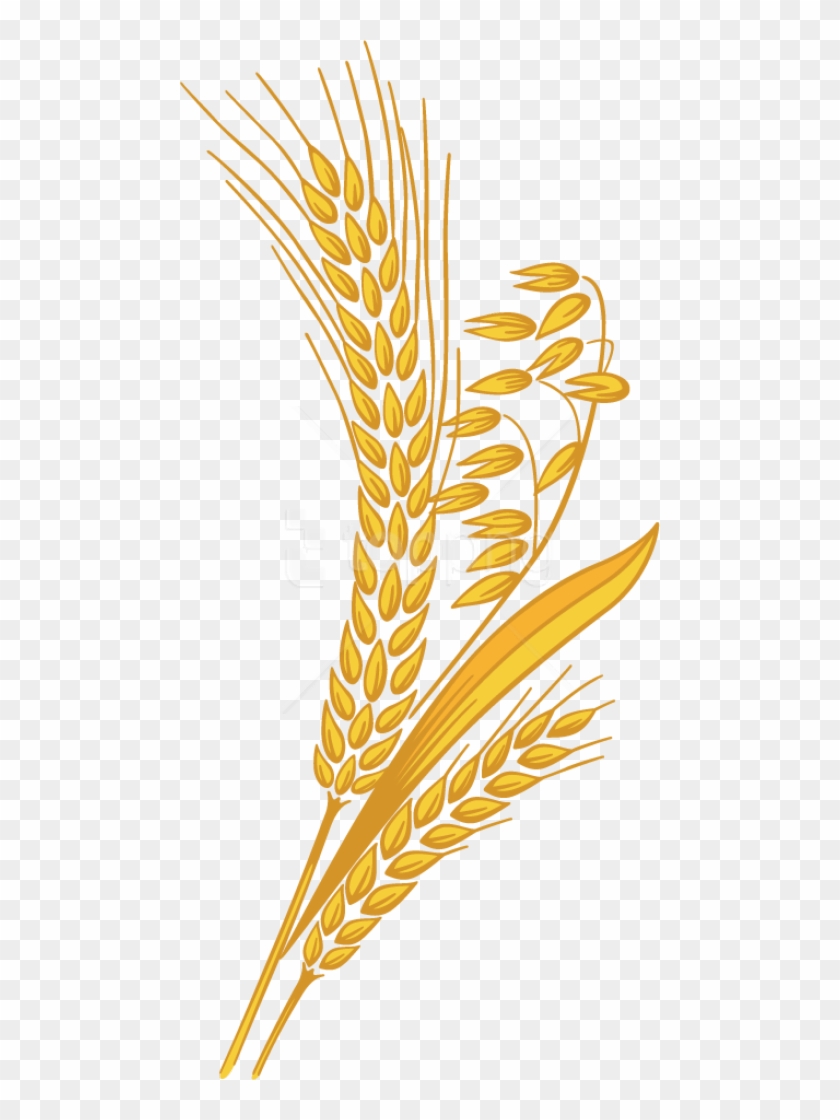 Detail Wheat Png Image Nomer 28