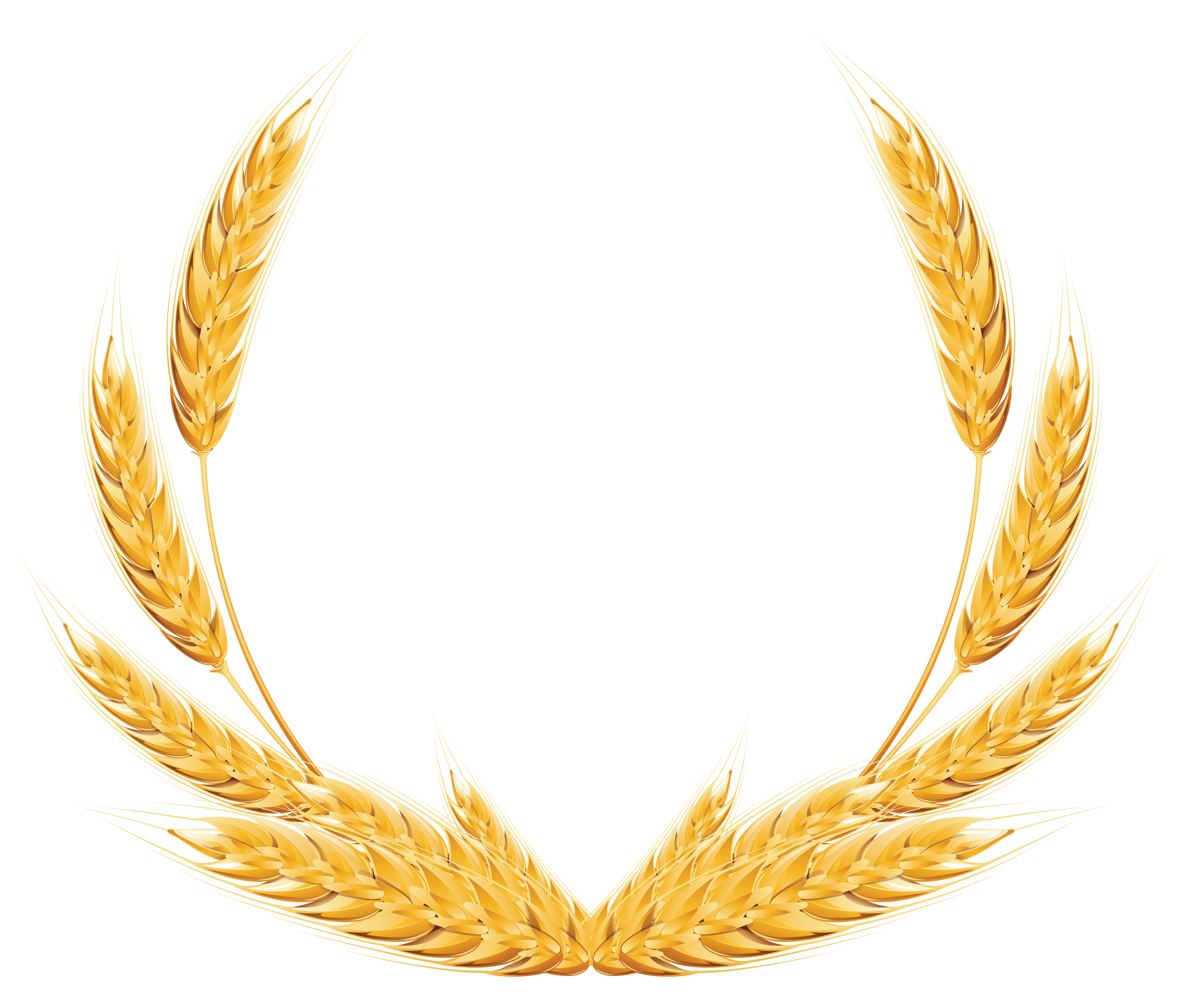 Detail Wheat Png Image Nomer 29