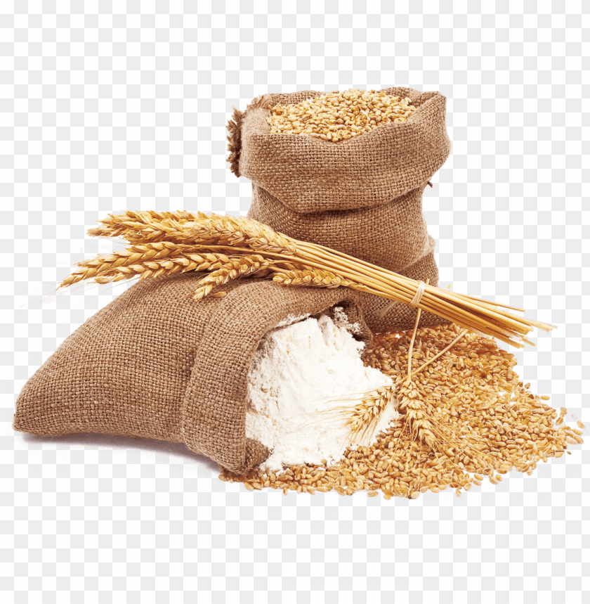 Detail Wheat Png Image Nomer 42